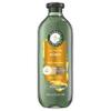 Herbal Essences Shampoo, 13.5 Fl Oz, Honey Daily Moisture, Sulfate Free, Nourishes, with Certified Camellia Oil and Aloe Vera, For All Hair Types, Especially Dry Hair view 1