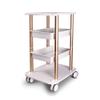 Beauty Equipment Tool Cart with Wheels,Multi-Functional Rack Salon Beauty Spa Trolley Stand Cart(Style 6) view 1