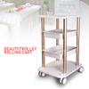 Beauty Equipment Tool Cart with Wheels,Multi-Functional Rack Salon Beauty Spa Trolley Stand Cart(Style 6) view 3