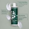Purezero Tea Tree & Matcha Shampoo and Conditioner Set - Nourishing & Invigorating Scalp Treatment - Zero Sulfates, Parabens, Dyes Vegan and Cruely Free (12 Fl Oz (Pack of 2)) view 3