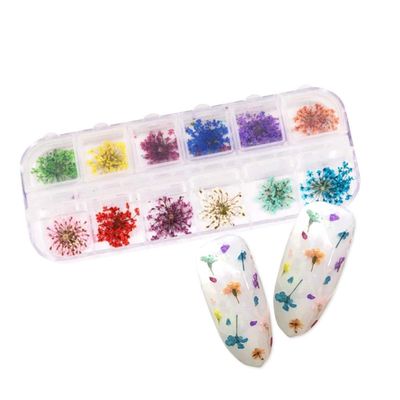 LIQI 36 Pcs 3D Dried Flower Nail Decoration Natural Floral Sticker Mixed Dry Flower DIY Nail Art Decals Manicure Tools Random color