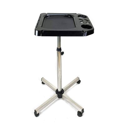 Aluminium Salon Instrument Tray, Height Adjustable Trolley Cart Tray Station on Wheels for Salon Tattoo Spa Beauty Service Holder Tool Storage (Silver,Style 4)