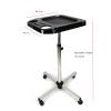 Aluminium Salon Instrument Tray, Height Adjustable Trolley Cart Tray Station on Wheels for Salon Tattoo Spa Beauty Service Holder Tool Storage (Silver,Style 4) view 2
