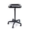 Aluminium Salon Instrument Tray, Height Adjustable Trolley Cart Tray Station on Wheels for Salon Tattoo Spa Beauty Service Holder Tool Storage (Black,Style 2) view 1
