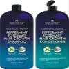 First Botany, Peppermint Rosemary Hair Regrowth and Anti Hair Loss Shampoo and Conditioner Set - Daily Hydrating, Detoxifying, Volumizing Shampoo and Fights Dandruff For Men and Women 16 fl oz x 2 view 1