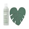EcoTools Makeup Brush Cleanser + Silicone Cleansing Pad Bundle, Deep Cleaning Shampoo for Makeup Sponges & Brushes, Brush Cleaner Pad, Vegan & Cruelty-Free, Gentle Formula view 1