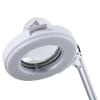 Beauty Style Facial Steamer Salon Spa Equipment 5X Magnifying Lamp & High Frequency Beauty Kit for Skin Care view 3