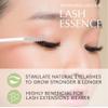 Lash Essence view 4