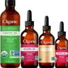 Cliganic Organic Carrier Oils Quad: Castor, Jojoba, Argan & Rosehip view 1