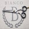 Bianco Instruments BI-980 Dry Cut Plus Professional Hairdressing Shears Stainless Steel Made in USA view 2