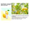 Arrahan Lemon Peeling Gel 180ml / 6.09 fl.oz Skin Care Moisturizing Gel view 4