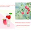 Arrahan Apple Peeling Gel 180ml / 6.09 fl.oz Sebum Blackhead Management Moisturizing Gel view 3