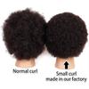 NEWSHAIR 9"afro mannequin head for braiding 4C Type 100% Human Hair Curly Hair Hairdresser Training Head African Cosmetology Doll Head for Styling Cornrow Braiding with Clamp Stand view 4