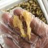 20 Grams Wild Dried Rana dybowskii Oil, Rana chensinensis Oil, Chinese Forest Frog Oil (Small-Size) view 3