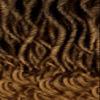 FREETRESS EQUAL WIG Freeress Synthetic Braid - 3X Large Passion Twist 18 inches (T27) view 3