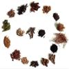 HERBAL HAIR OIL MIX | Ayurvedic 18 Essential Raw Herbs for Oil Infusion | 100% Natural Indian Herbs for Hair Growth | Yogis Gift For Women view 3