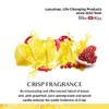 Bliss Kiss Simply Pure Dropper with Refillable Cuticle Squeeze Pen 3-Pack Kit (Crisp, 3-Pens) view 2