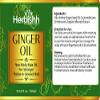 Herbishh Ginger Essential Oil (2 x 30ml) for Hair Growth, Non Sticky, Hair Growth Serum Oil for Thicker, Strong and Glossier Hair, with Dropper view 2