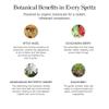 Ogee Rose Botanical Face Mist  Hydrating Organic Vegan Facial Mist, 90ml view 2