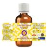 dve herbes Black Cumin Seed (Kalonji) Essential Oil (Nigella Sativa) Pure | Non-Sticky | Non-Greasy | Lightweight | Men & Women | All Skin Types | Steam Distilled 5ml (0.16 oz) view 2