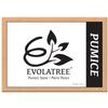 Evolatree Pumice Stone for Feet - Lava Foot Scrub, Cleaning & Exfoliating Hard Dead Skin, Corn & Callus Remover for Hands, Heels - Shower & Bath Wet Foot Scrubber, Scraper Pedicure Supplies Care Tool view 2