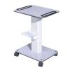 Beauty Salon Trolley Cart, Multil-Function Rolling Cart Tray Mobile Storage Cart with Wheels for Beauty Salon Instrument, LxW: 15.8x20.5inch, Recommended Load 15kg view 1