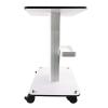 Beauty Salon Trolley Cart, Multil-Function Rolling Cart Tray Mobile Storage Cart with Wheels for Beauty Salon Instrument, LxW: 15.8x20.5inch, Recommended Load 15kg view 3