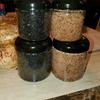 Black Majik Exfoliating Facial Scrub view 1