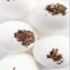Juniper Bath Bomb view 1