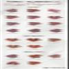Biss, Powder Face Blush, Blush, Various Shades, Smooth Texture, Long Lasting (20 Coral) view 3