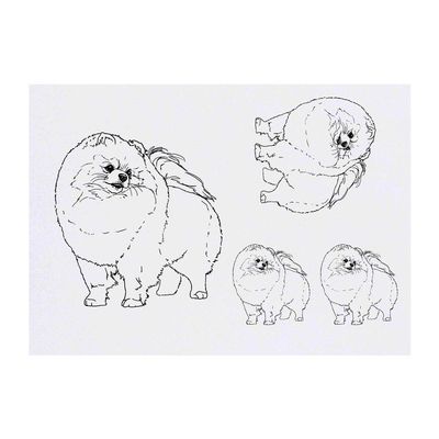 Azeeda 4 x 'Pomeranian' Temporary Tattoos - Water Resistant, Skin-Safe, Non-Toxic Transfers, Mixed Sizes (TO00039433)