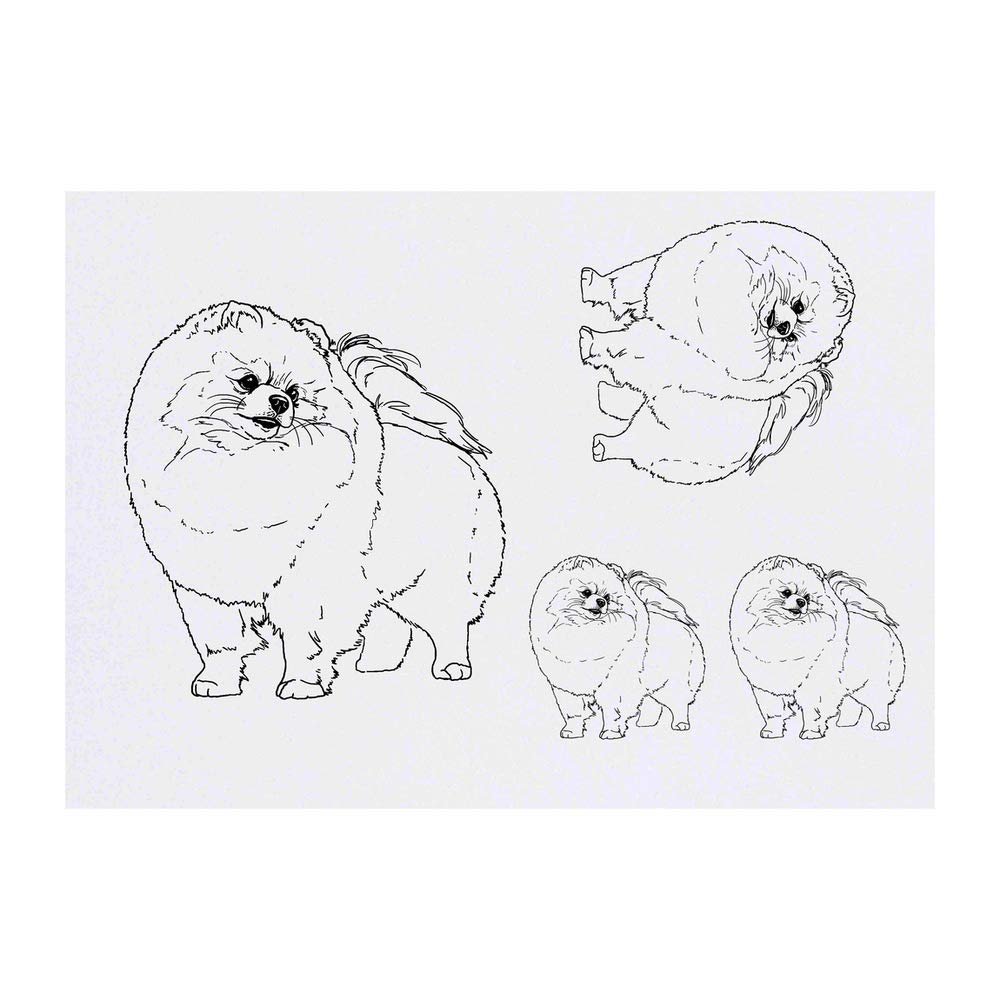 Azeeda 4 x 'Pomeranian' Temporary Tattoos - Water Resistant, Skin-Safe, Non-Toxic Transfers, Mixed Sizes (TO00039433)