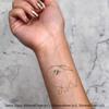 Azeeda 4 x 'Pomeranian' Temporary Tattoos - Water Resistant, Skin-Safe, Non-Toxic Transfers, Mixed Sizes (TO00039433) view 2