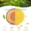 50-Count Compressed Facial Sponges for Daily Cleansing and Gentle Exfoliating, 100% Natural Cellulose Spa Sponge Perfect for Removing Dead Skin, Dirt and Makeup view 2