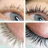 Black Lash T-i-n-t Kit, Keratin Black Eyelash D-y-e and Eyebrow T-i n t, 6 Week Voluminous Brow T-int, T-inting Look For Lash Perm/Lift/Lamination Treatment Dark Eyelash T-int Kit Only view 2