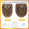 Caliee 18Inch Human Hair Jerry Curly Clip in Hair Extensions Highlight Piano Dark Brown Mixed with Strawberry Blonde for Women 3B 3C Curly Clip ins Real Remy Human Hair Extensions #P4/27 120G 7Pcs view 2