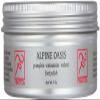 Finestida ALPINE OASIS Foot Polish with Pumpkin and Cinnamon, 7 oz view 1