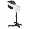 Hair Salon Hair Care Professional O3 Ozone Micro Mist Hair Steamer Standing Type Elitzia ET140BM view 1