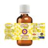 Deve Herbes Pure Pine Essential Oil (Pinus sylvestris) Steam Distilled (Pack of Two) 100ml X 2 (6.76 oz) view 2