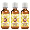 Deve Herbes Pure Pine Essential Oil (Pinus sylvestris) Steam Distilled (Pack of Three) 100ml X 3 (10 oz) view 1