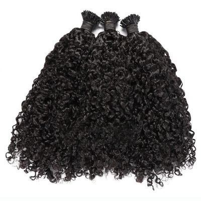 RJ Hair Sassy Curly I Tip Hair Extensions 100 Strand Brazilian Microlinks Human Hair Keratin Fusion Stick I Tip Hair For Women (14inch 100strand, Color 1#)