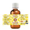 dve herbes Basil Essential Oil (Ocimum basilicum) Pure | Non-Sticky | Non-Greasy | Lightweight | Men & Women | All Skin Types | Steam Distilled 10ml (0.33 oz) view 2