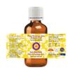 dve herbes Cananga Java Essential Oil (Cananga odorata) Pure | Non-Sticky | Non-Greasy | Lightweight | Men & Women | All Skin Types | Steam Distilled 15ml (0.5 oz) view 2