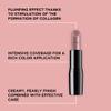 ARTDECO Perfect Color Lipstick - Royal Rose - Glide-On Lipstick with Rich Color & Plumping Effect - Creamy, Pearly Finish - Hyaluronic Acid - Long Lasting - Lip Plumper - Lip Care - Makeup - 0.14 Oz view 3