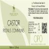 Castor Oil - Pure Refined Natural Cold Pressed Vegan Non GMO Bulk 128 oz - 1 Gallon - Bulk Wholesale Castor Oil for Hair Nails Eyelashes Eyebrows Beard Mustache - Organic Pure Oil view 2