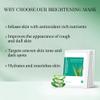 Aloderma Brightening Sheet Masks with 88% Organic Aloe Vera - 5 Pack Facial Masks with Niacinamide, Arginine for Radiant Skin - Evens Skin Tone & Revitalizes Rough, Dull Skin - Aloe Face Mask Sheet view 4