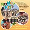 Mongo Kiss Organic Lip Balm 6-Pack by Eco Lips 100% Organic Beeswax & Cocoa Butter Lip Care with Mongongo Oil - Soothe & Moisturize Dry & Cracked Lips - Made in USA. (Pomegranate, Yumberry, Blood Oran view 3