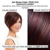 Bundle - 2 item: Ignite Large Wig by Jon Renau, Christy's Wigs Q & A Booklet - Color: FS2V/31V view 2