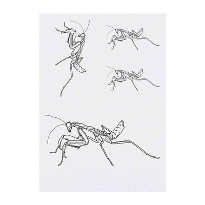 Azeeda 4 x 'Praying Mantis' Temporary Tattoos - Water Resistant, Skin-Safe, Non-Toxic Transfers, Mixed Sizes (TO00040181)