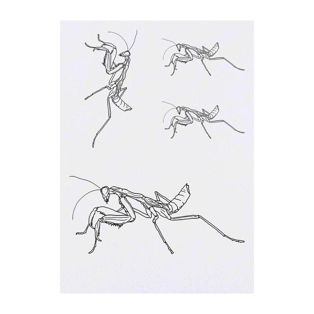 Azeeda 4 x 'Praying Mantis' Temporary Tattoos - Water Resistant, Skin-Safe, Non-Toxic Transfers, Mixed Sizes (TO00040181)